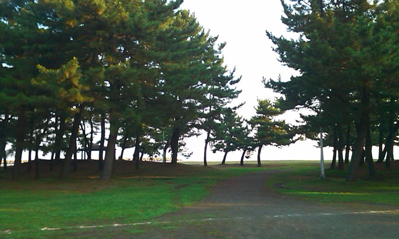 d0223119_21451748.jpg