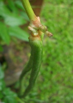 a0043520_21155111.jpg