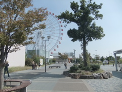 Trip2011−近江八幡〜京都_e0171821_2313315.jpg