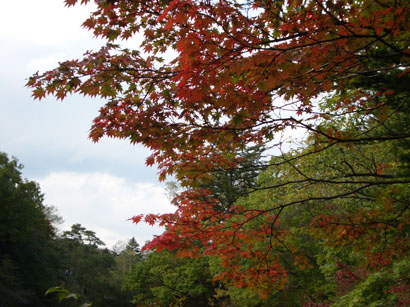 a0200624_12562927.jpg