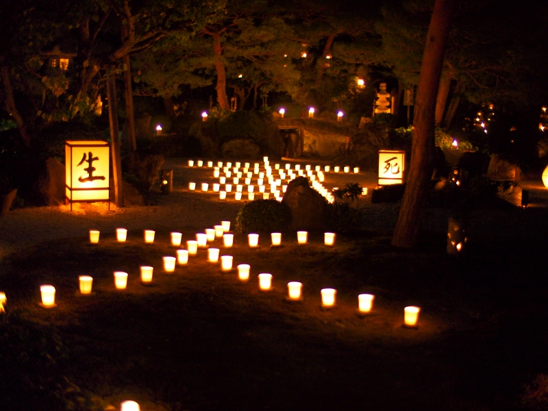 妙心寺　東林院・生死事大 無常迅速_d0252924_937283.jpg