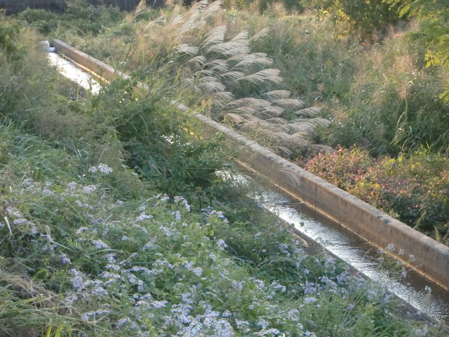e0234924_17573572.jpg
