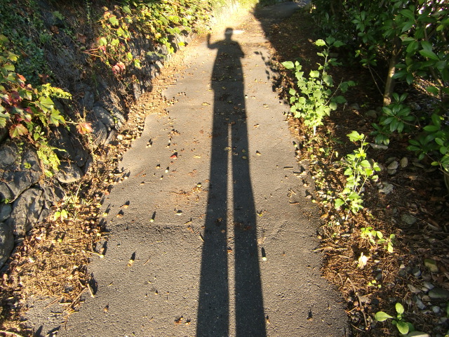 e0234924_1871239.jpg