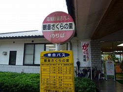 観音さくらの里 宮崎の温泉_d0086228_8341260.jpg