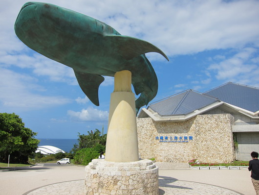 d0097029_1211616.jpg