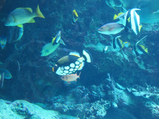 d0097029_12204333.jpg