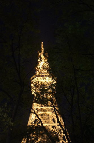 e0134032_2043465.jpg