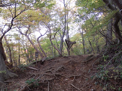 f0003138_1813679.jpg