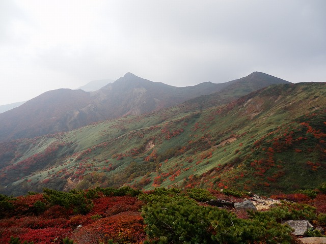 f0003138_18264190.jpg