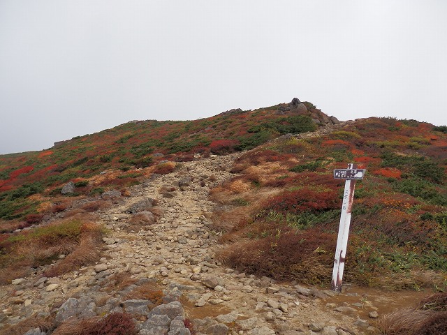 f0003138_18301517.jpg