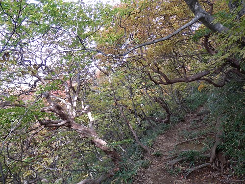 f0003138_1895175.jpg