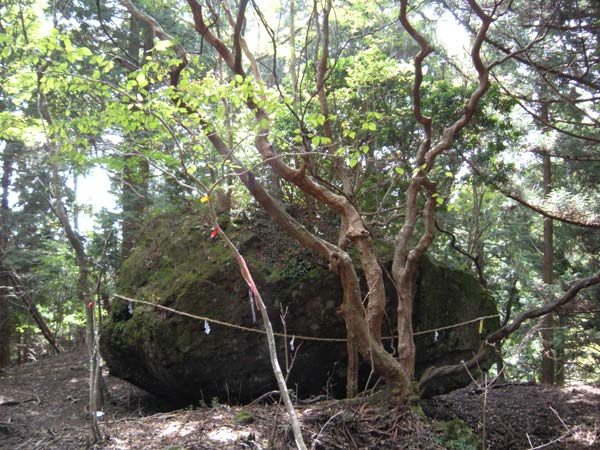 c0047341_653133.jpg