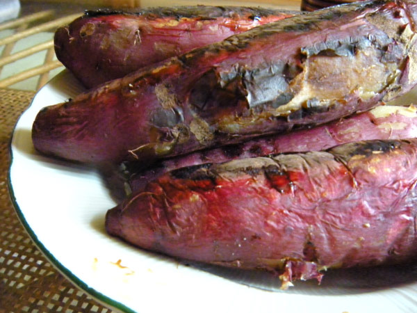 c0047341_704767.jpg