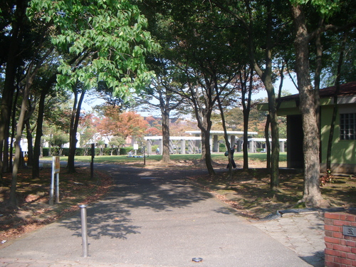 a0213742_2185088.jpg