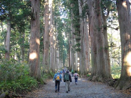 上信越の山へ、雨飾山・戸隠山、その3_e0164643_22165742.jpg