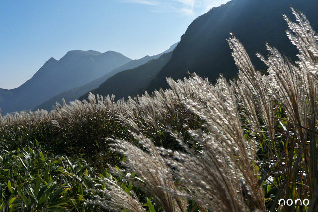 紅葉偵察登山へ♪_e0151447_2391554.jpg