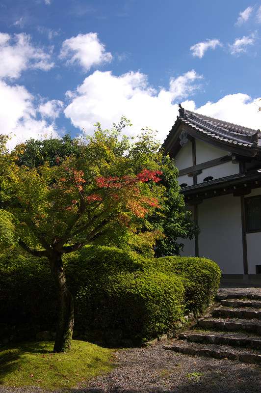 秋色見つけた（常照寺）_f0155048_20472614.jpg