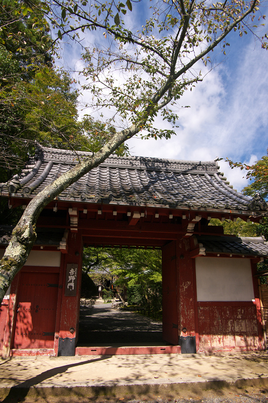秋色見つけた（常照寺）_f0155048_20481341.jpg