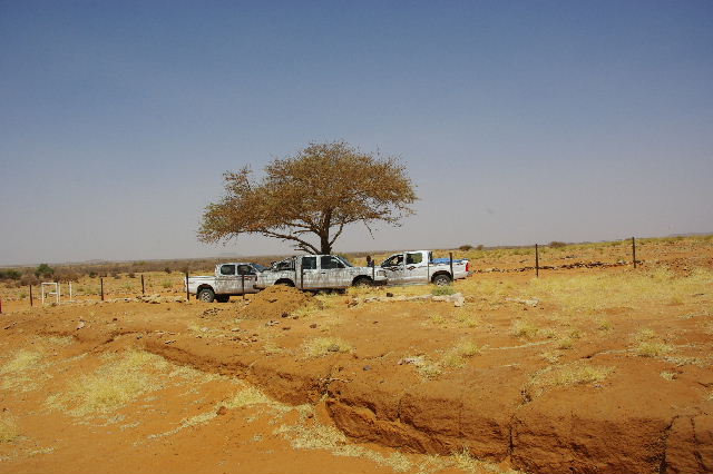 c0011649_20083.jpg