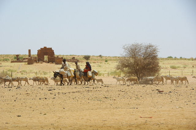 c0011649_203503.jpg