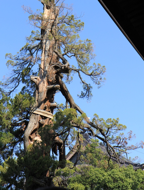 長野の善光寺_d0163550_2103956.jpg