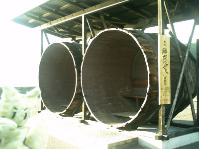 e0033751_17592121.jpg