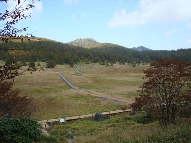 f0198556_1650420.jpg