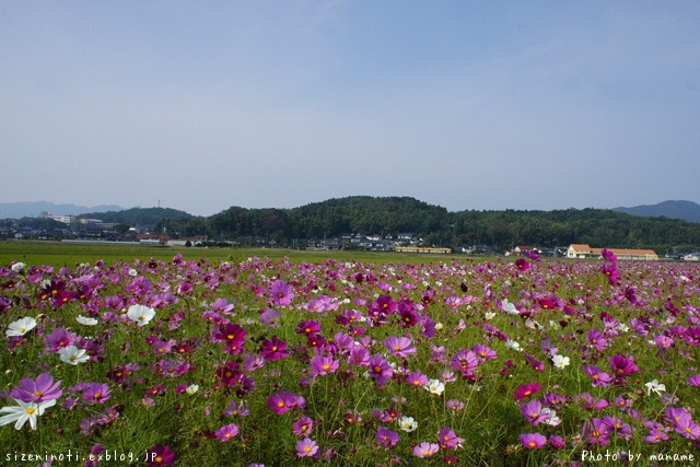 f0147858_223174.jpg