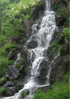 満願の湯（源泉：秩父温泉　満願の湯）～久々に入湯_c0043361_121780.jpg