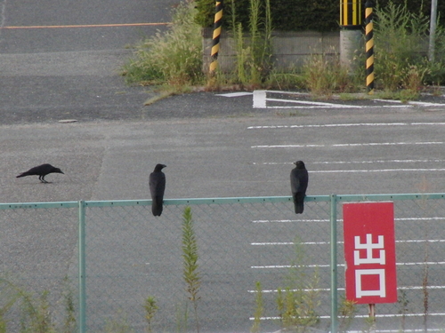 a0140863_2249116.jpg