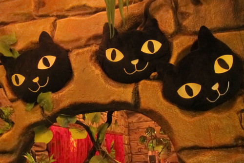 cat\'s day._c0153966_14473735.jpg