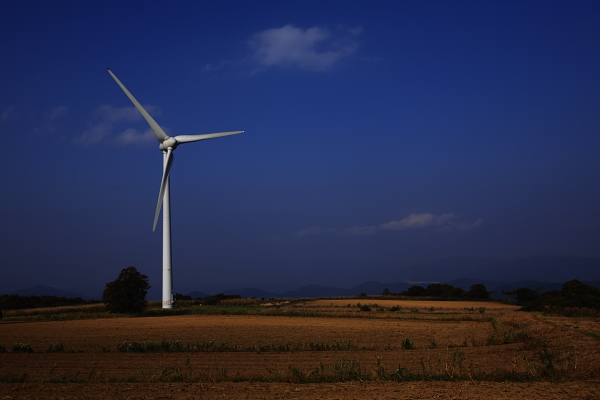 Wind power_d0234366_5404276.jpg