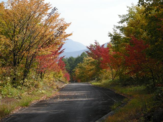 d0226767_17235330.jpg