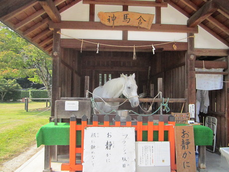 上賀茂神社_f0205367_1904869.jpg