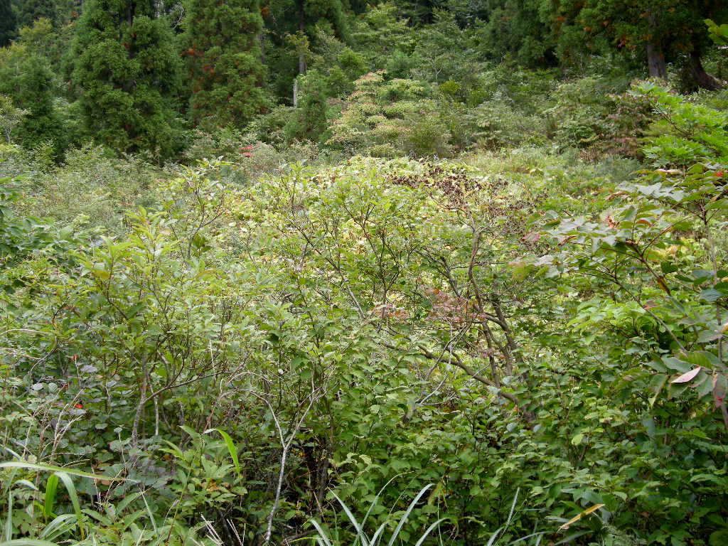 b0185573_21465257.jpg