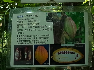 c0209377_22523811.jpg