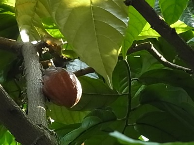 c0209377_225326.jpg