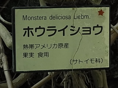 c0209377_2253551.jpg