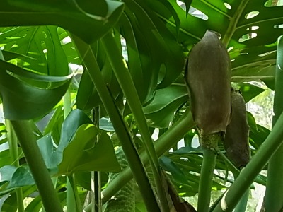 c0209377_22542072.jpg