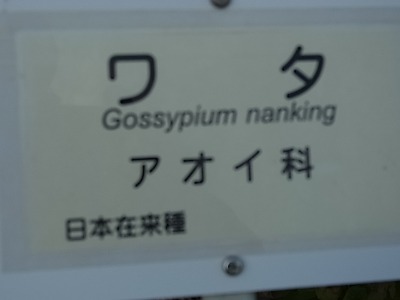 c0209377_2255415.jpg