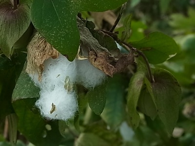 c0209377_22562958.jpg