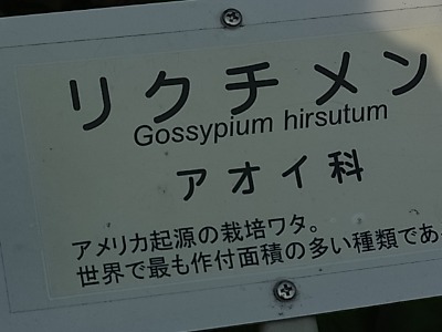 c0209377_22573760.jpg