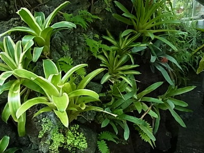c0209377_2382652.jpg