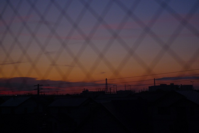 a0160581_7571224.jpg