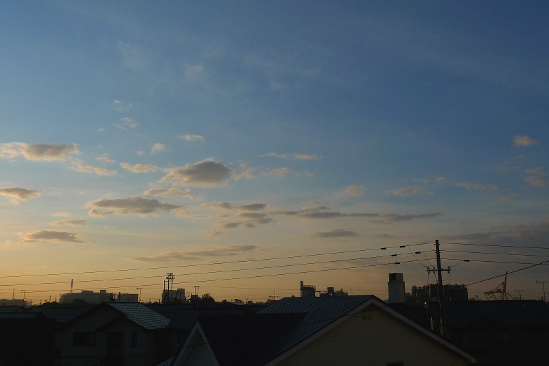 a0160581_804279.jpg