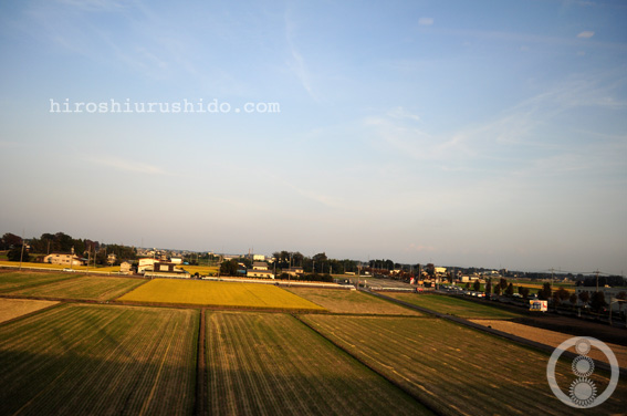 日帰り宇都宮_c0229485_2521867.jpg