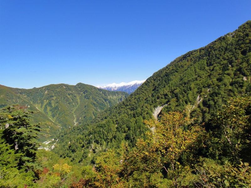 仙人温泉-下ノ廊下 Day.1 2011/10/04-05 _b0220886_2322617.jpg