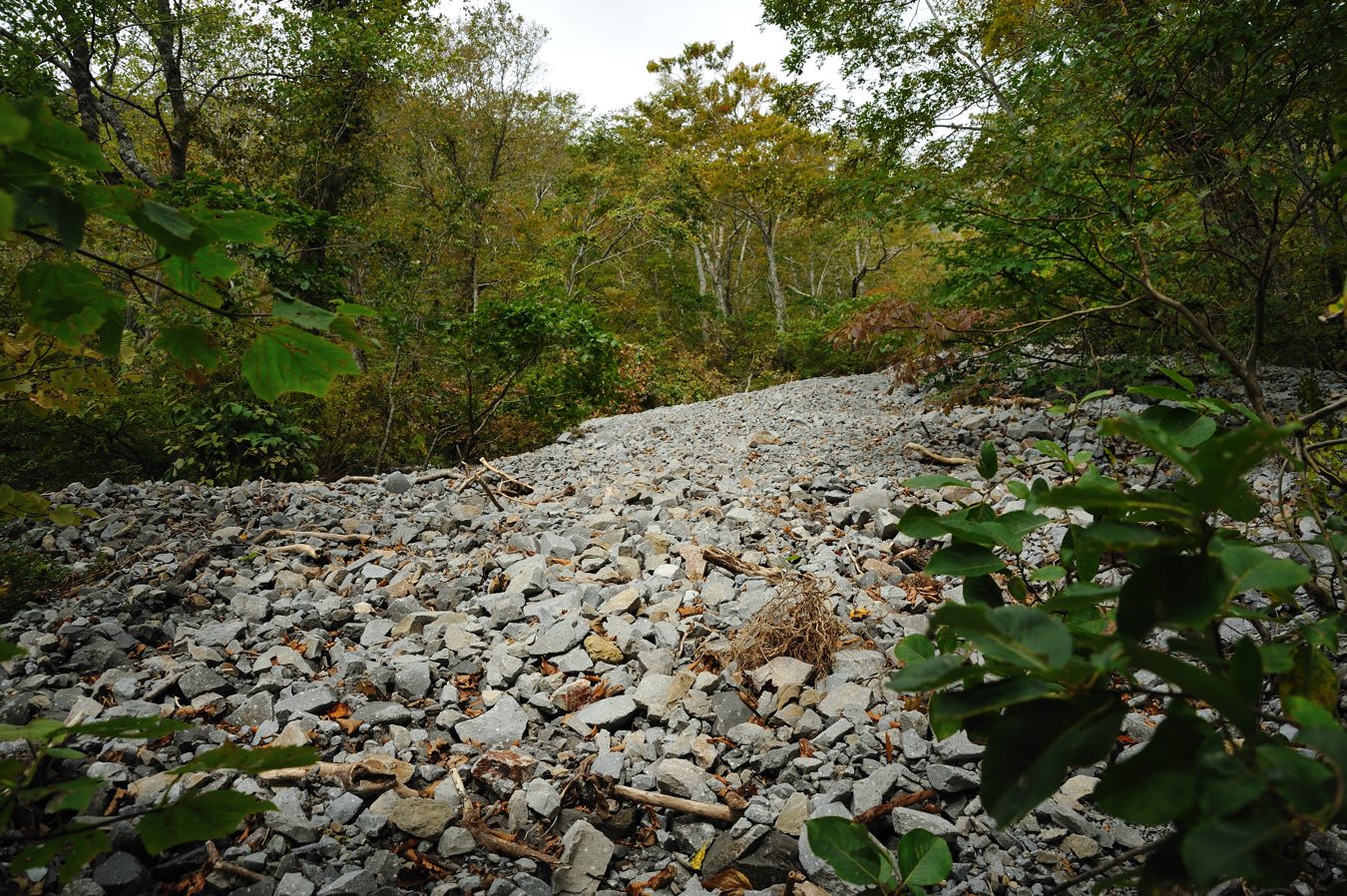 c0138991_22254311.jpg