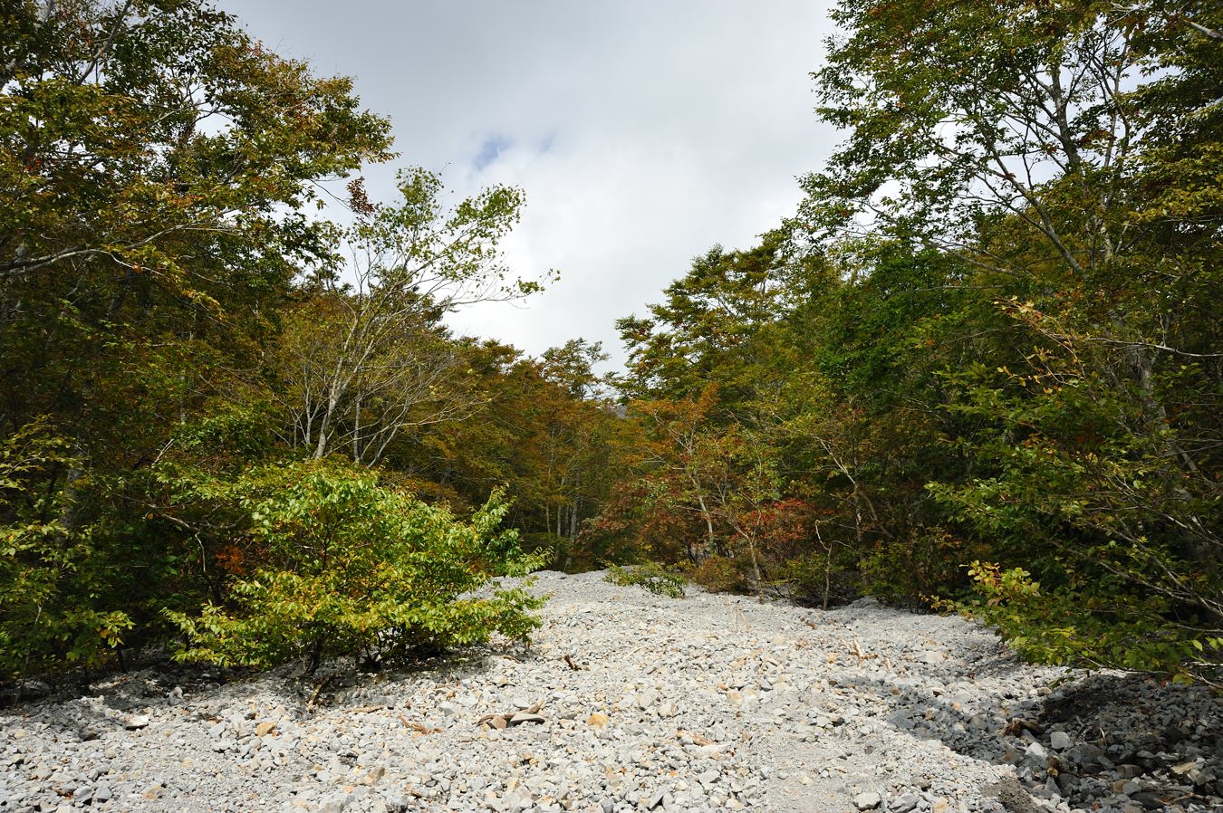 c0138991_22273721.jpg