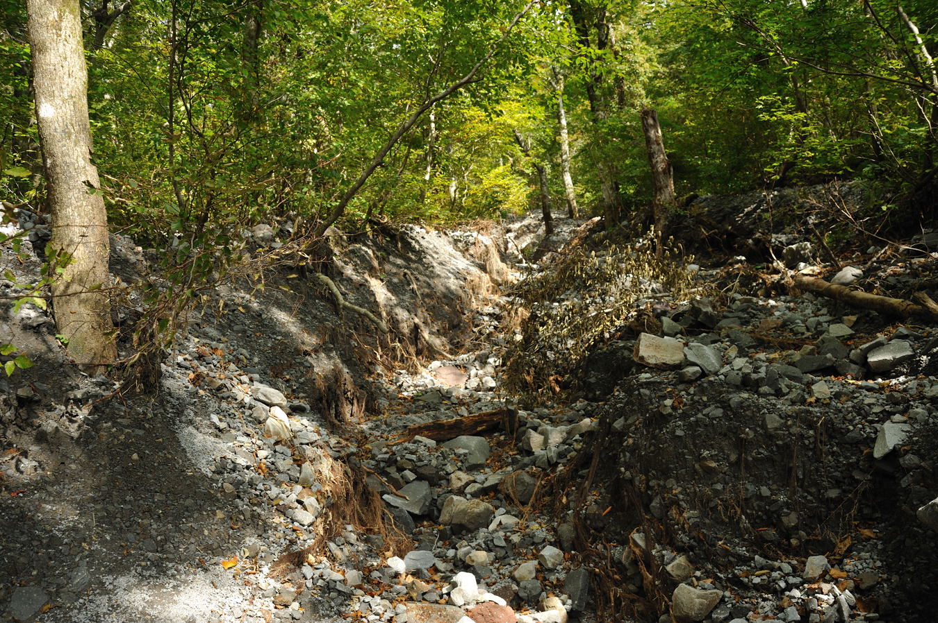 c0138991_2263764.jpg
